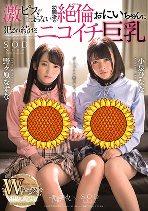 [STARS-067]小泉日向/野野原荠 SODstar×青春时代W分配角色 